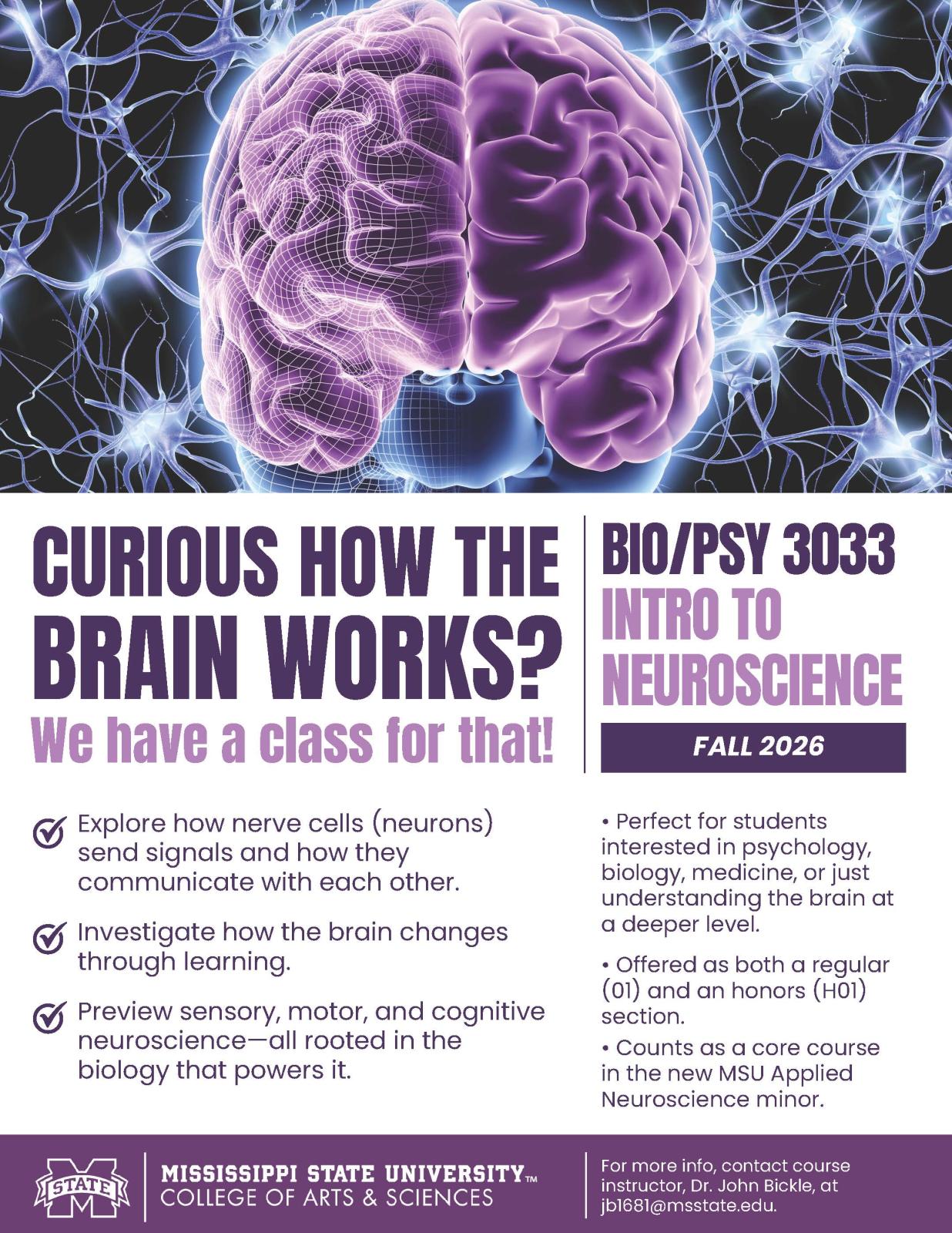 intro to neuroscience
