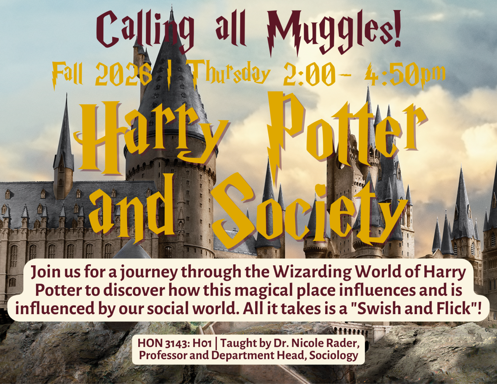 Harry Potter and Society